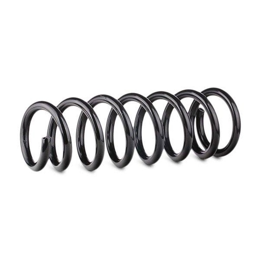 [SUPP-6358-188C0421] Suspension Spring