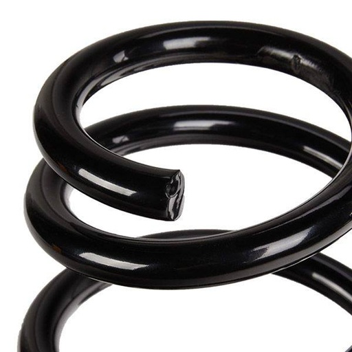 [SUPP-6358-188C0519] Suspension Spring