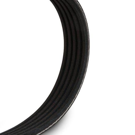 [SUPP-6358-305P0348] V-ribbed Belt