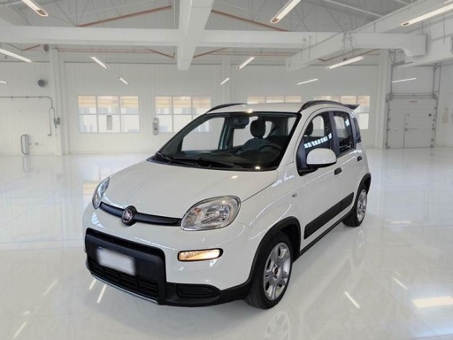 FIAT Panda (Year of Construction 2023, 69 PS, Hybrid Petrol)