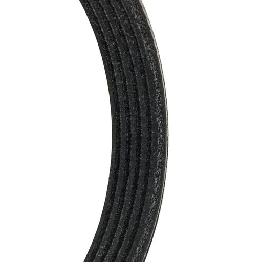 [SUPP-6358-305P0336P] V-ribbed Belt