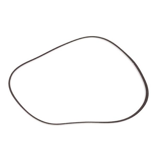 [SUPP-6358-305P0489P] V-ribbed Belt