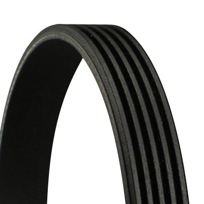 [SUPP-31-5PK1100] V-ribbed Belt