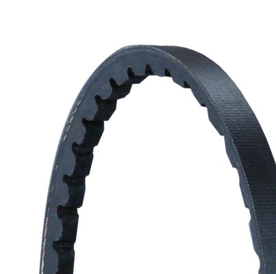 [SUPP-31-AVX10X838] V-Belt