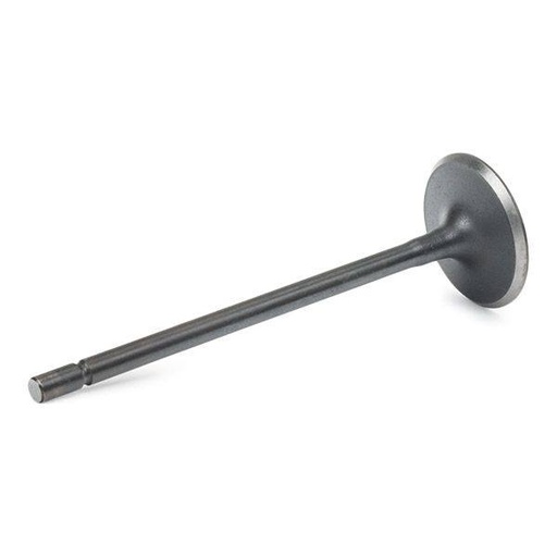 Intake Valve