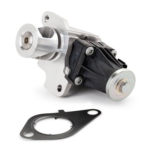 EGR Module