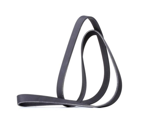 Water Pump + V-ribbed Belt Kit
