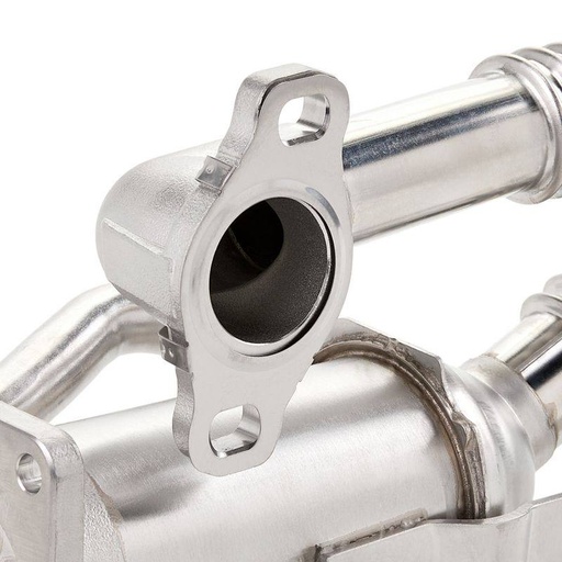 EGR Module