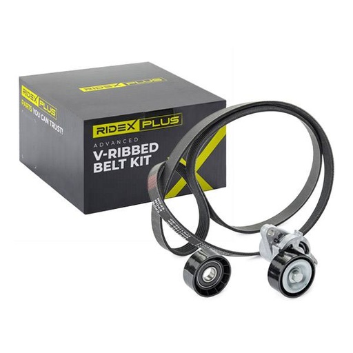 [SUPP-6358-542R0082P] V-ribbed Belt Set