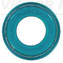 Seal Ring, valve stem