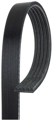 [SUPP-33-5PK985] V-ribbed Belt