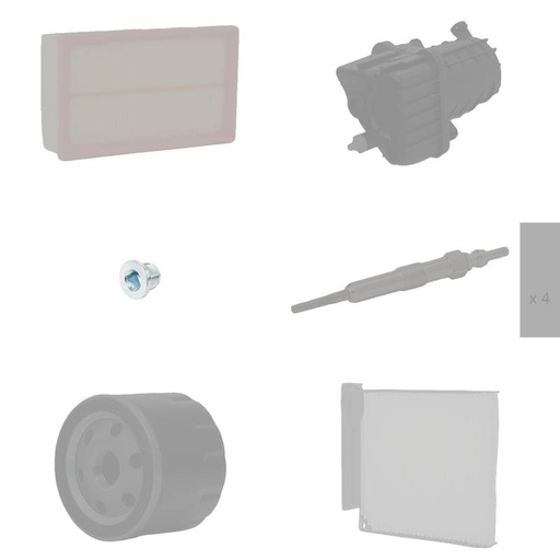 Parts Set, maintenance service