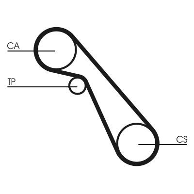 Timing Belt