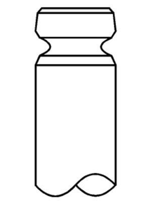 Intake Valve