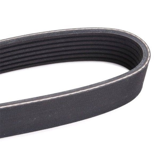 V-ribbed Belt