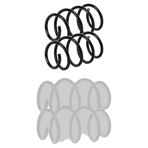 Suspension Set, springs