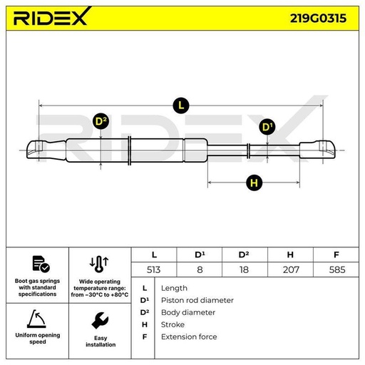 Gas Spring, boot/cargo area