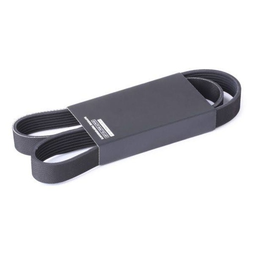 V-ribbed Belt