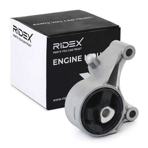 Mounting, engine