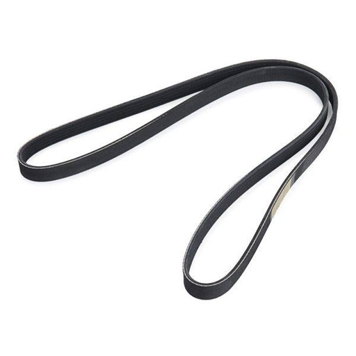V-ribbed Belt