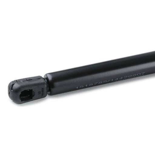 Gas Spring, bonnet