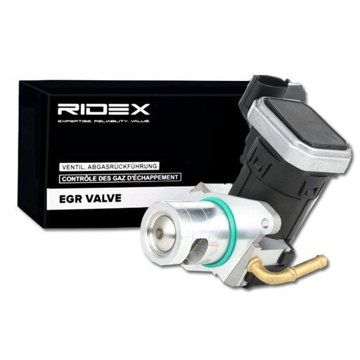 EGR Valve