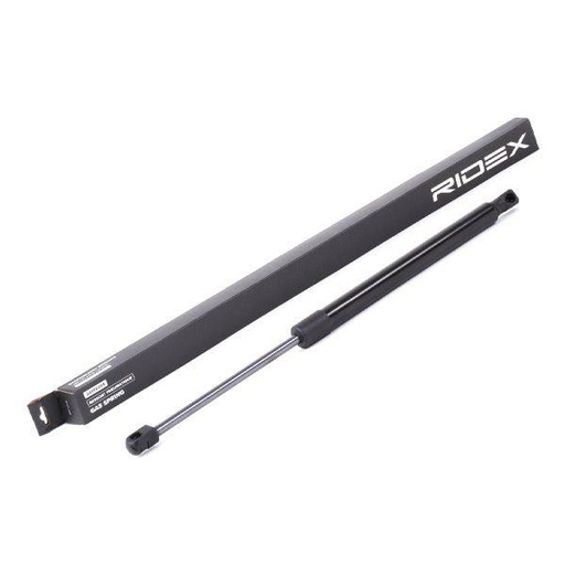 Gas Spring, boot/cargo area