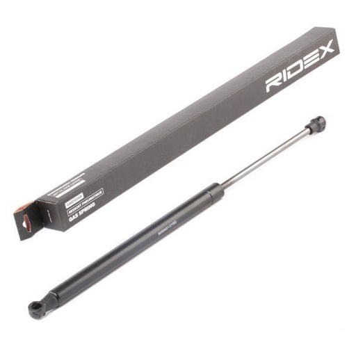Gas Spring, boot/cargo area