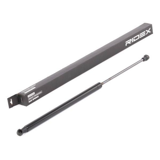 Gas Spring, boot/cargo area