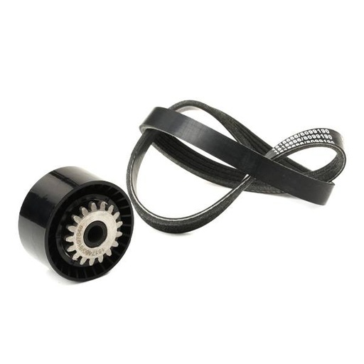 [SUPP-6358-542R0837] V-ribbed Belt Set