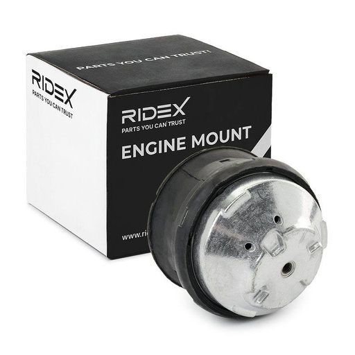 Mounting, engine