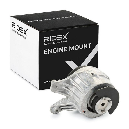 Mounting, engine