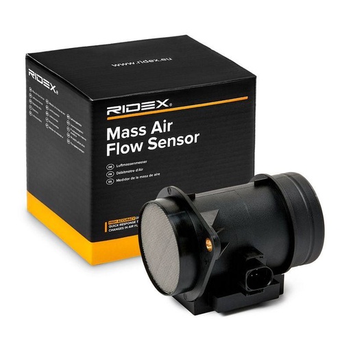Mass Air Flow Sensor