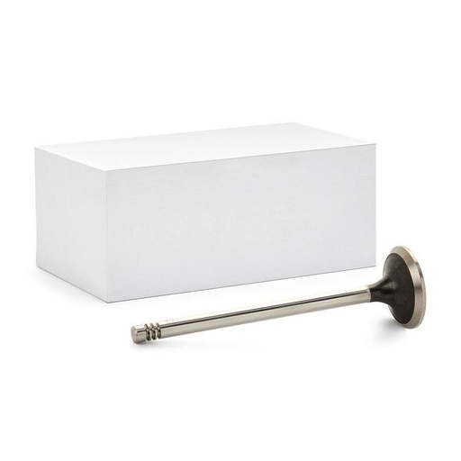 Exhaust Valve