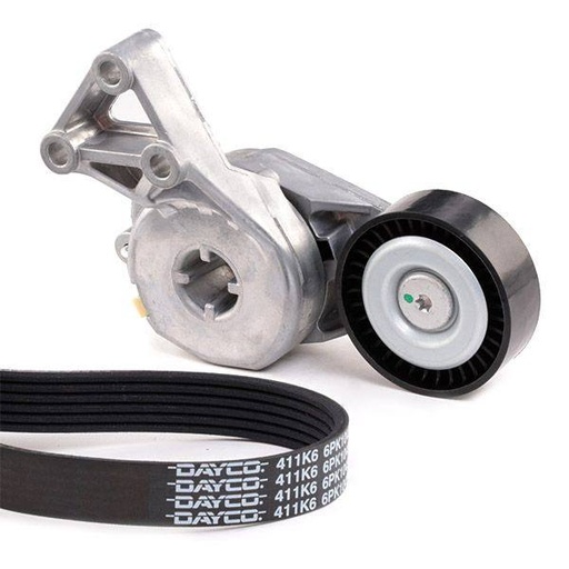 [SUPP-6358-542R0045] V-ribbed Belt Set