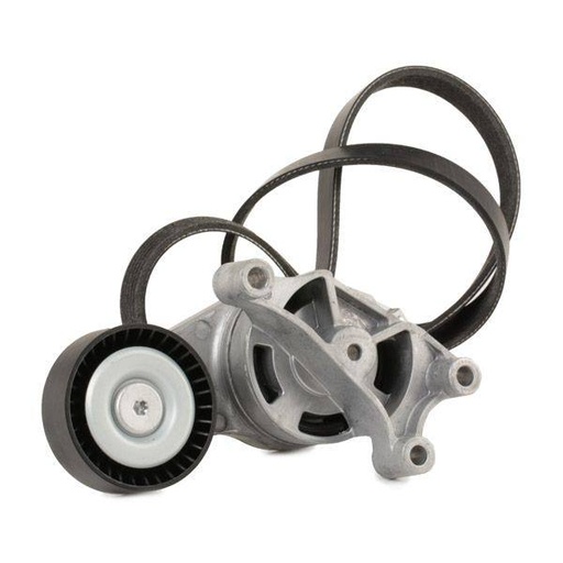 [SUPP-6358-542R0211] V-ribbed Belt Set