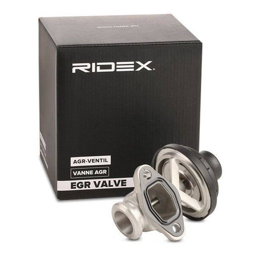 EGR Valve