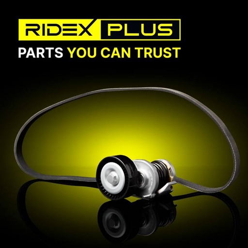 [SUPP-6358-542R0040P] V-ribbed Belt Set