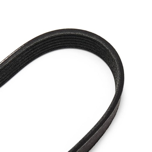 [SUPP-6358-542R0036P] V-ribbed Belt Set