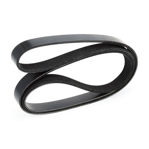 [SUPP-6358-305P0322] V-ribbed Belt