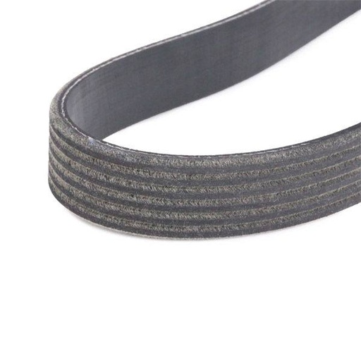 [SUPP-6358-542R0225] V-ribbed Belt Set