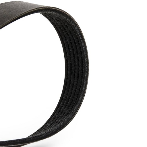 [SUPP-6358-305P0446P] V-ribbed Belt