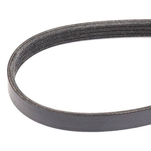 [SUPP-6358-305P0309] V-ribbed Belt