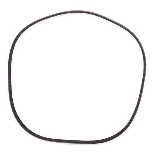 [SUPP-6358-305P0309P] V-ribbed Belt