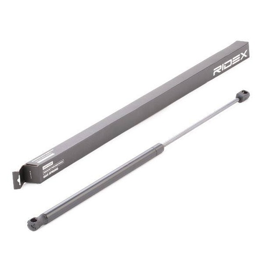 Gas Spring, boot/cargo area