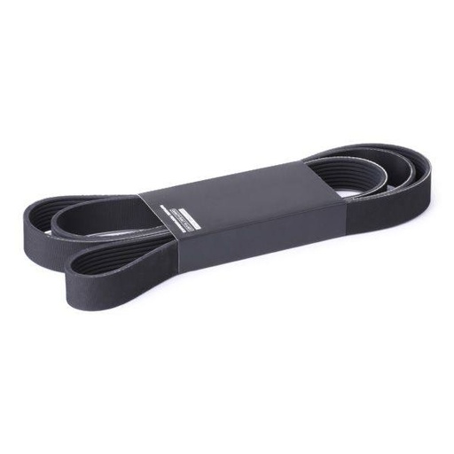 [SUPP-6358-305P0352] V-ribbed Belt