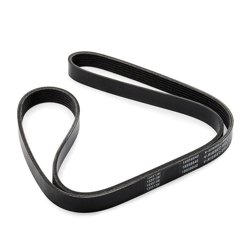 [SUPP-6358-305P0647] V-ribbed Belt