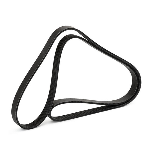 [SUPP-6358-305P0647P] V-ribbed Belt