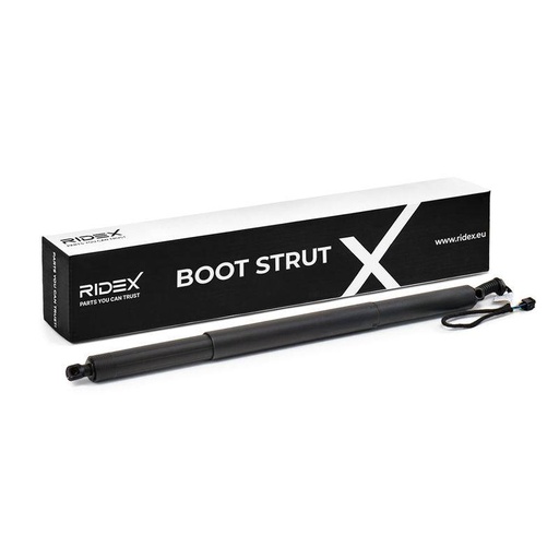 Gas Spring, boot/cargo area