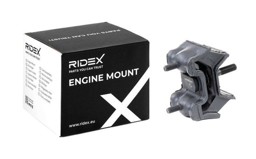 Mounting, engine